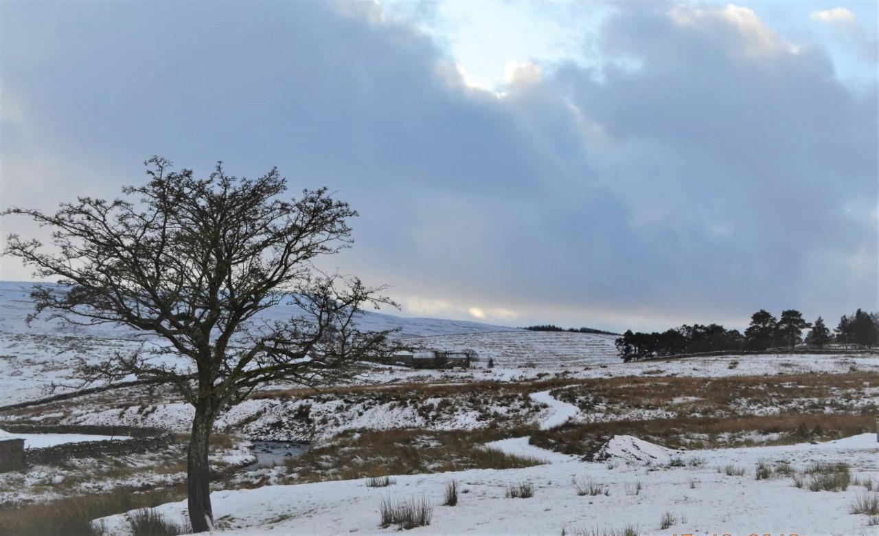 The Garsdale Bed & Breakfast - Goats And Oats At Garsdale Hawes Exterior photo